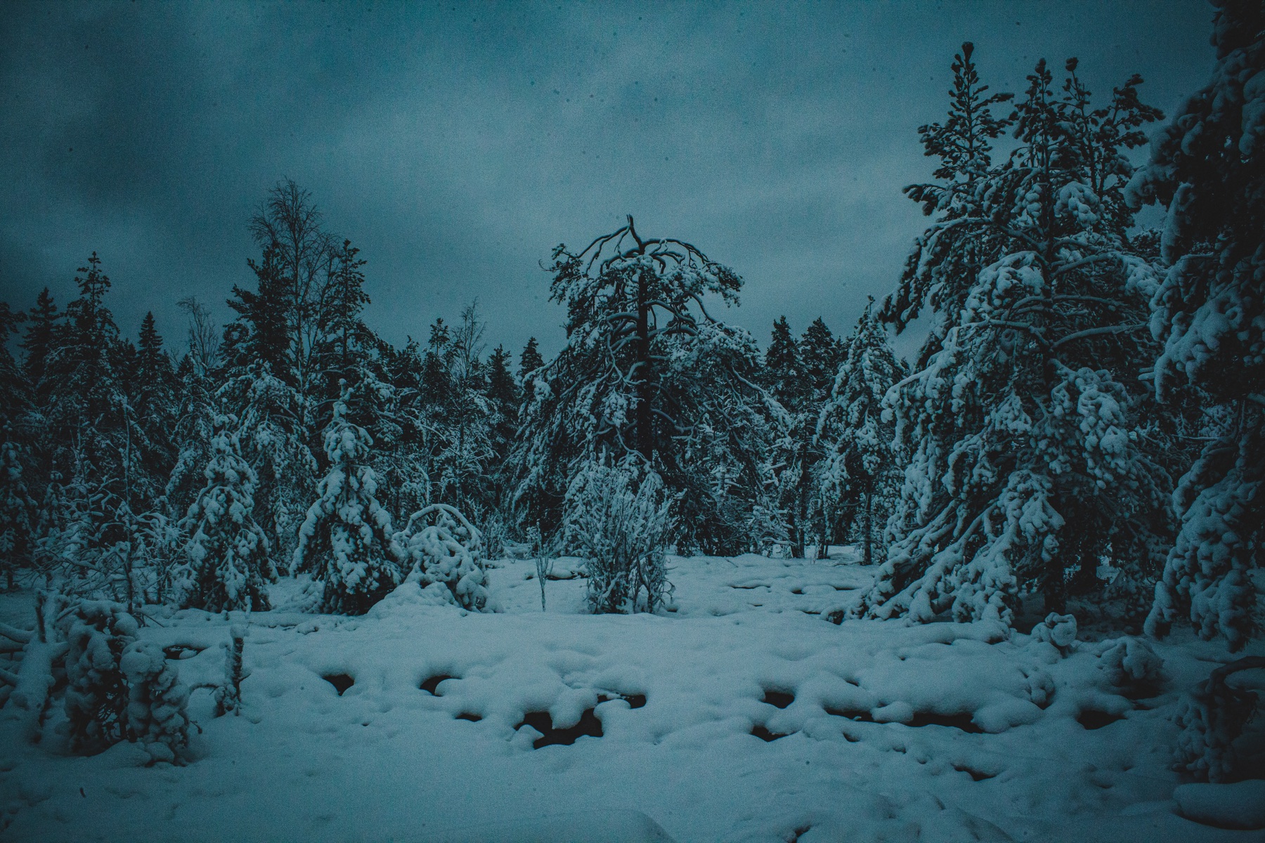 Claro de invierno, Finlandia, mostrada en un marco