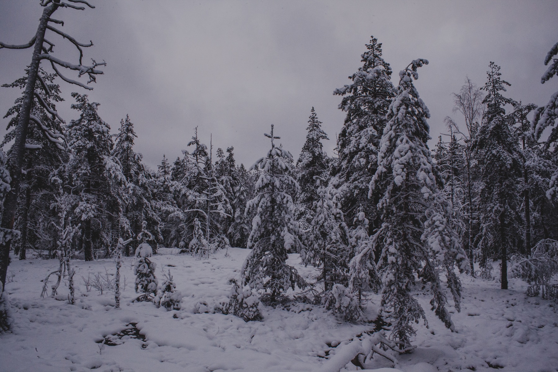 Nieve abierta, Finlandia, mostrada en un marco