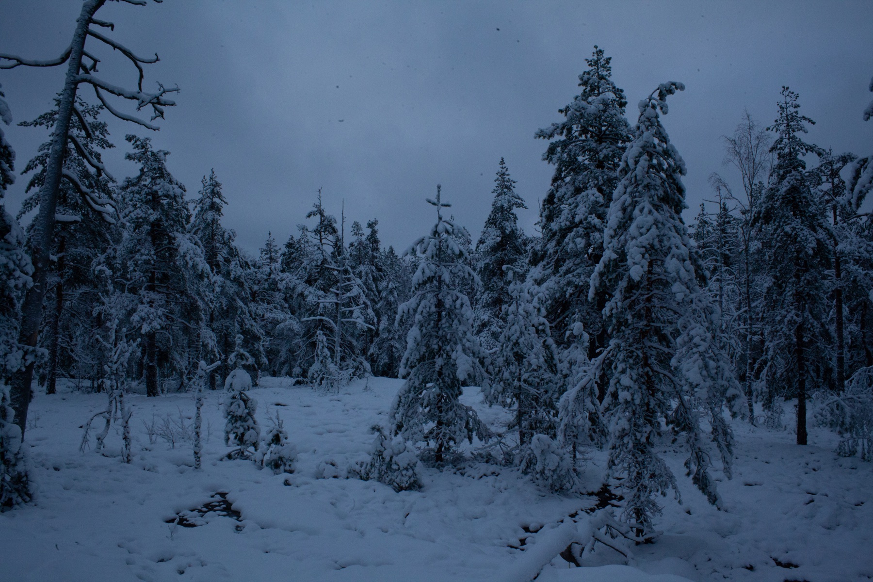Nieve baja, Finlandia, mostrada en un marco