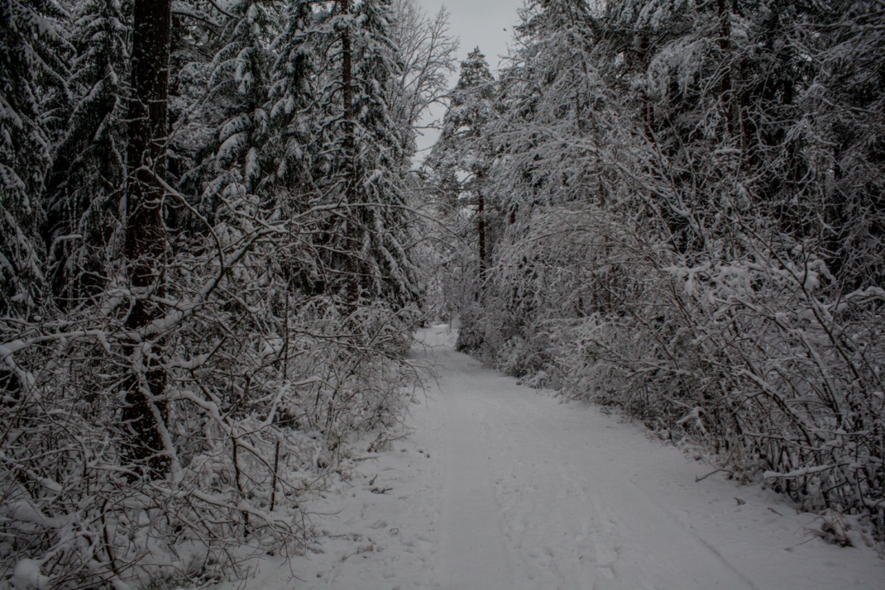 Senda gris, Finlandia, mostrada en un marco